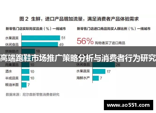 高端跑鞋市场推广策略分析与消费者行为研究