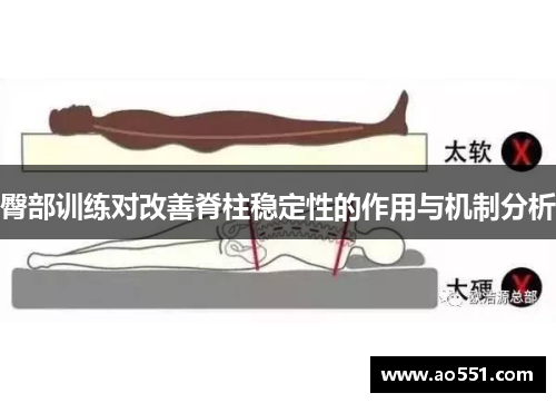 臀部训练对改善脊柱稳定性的作用与机制分析